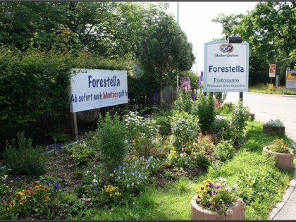 Фото: Forestella